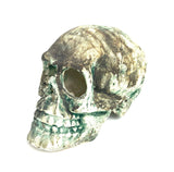 Omar Hernandez Skulls