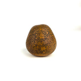 Familia Medina Natural Gourd