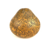 Familia Medina Medium Natural Gourd