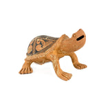 Nicolas Ortiz Turtle