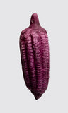 Omar Hernandez Purple Corn