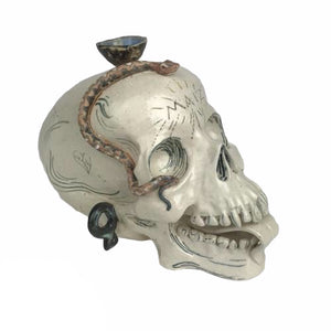 Skull with Brown Snake and Cup