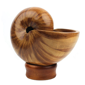 Wood Snail